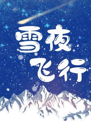 雪夜飞行